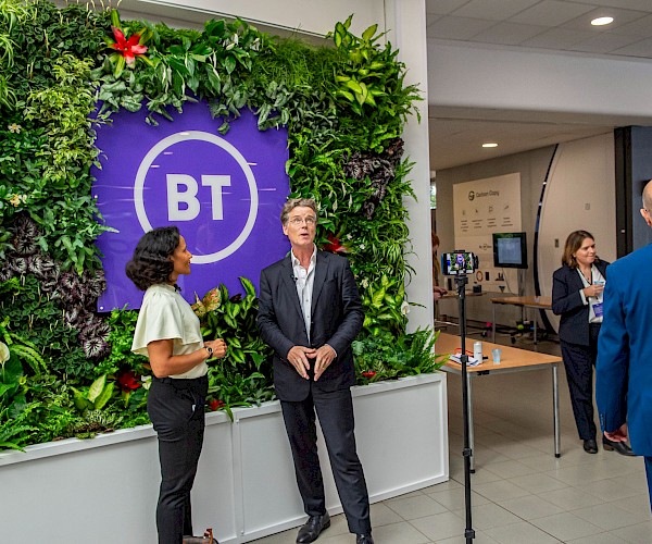 Event living wall used as backdrop standalone with troughs infront