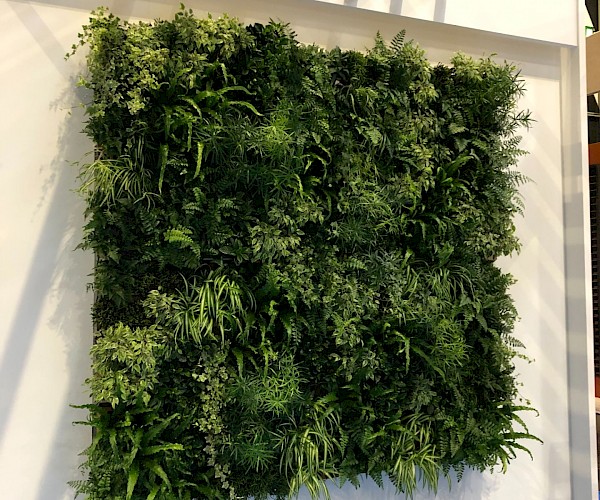 Living Wall square on side of temporary event wall paneling