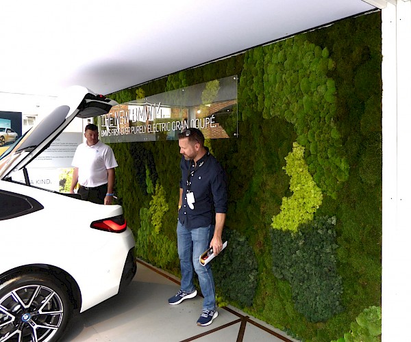moss feature wall branded with acrylic