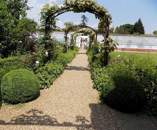 permanent planted archways in garden