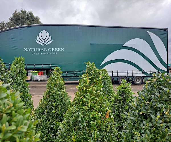 branded company lorry behind some trees