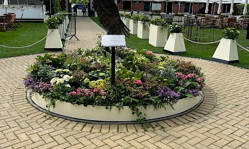 Royal Ascot bird statue with planted garden to bottom