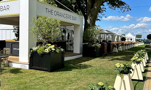 Royal Ascot planted barrier with ropes and large olive trees in background