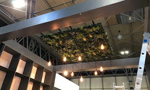 January Furniture Show artificial green panel to roof of structure with lights hanging down