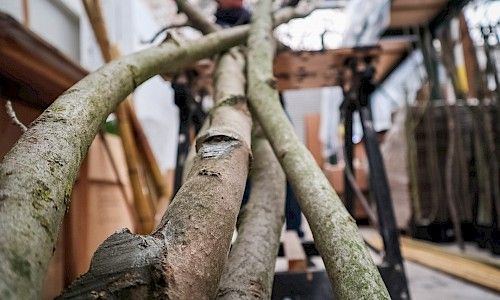 January Furniture Show artificial trees being made