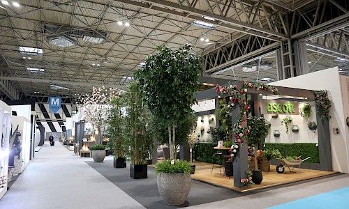 January Furniture Show large ficus tree on exhibition stand
