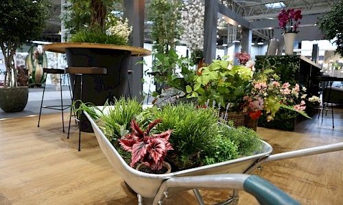 January Furniture Show artificial planting in wheelbarrow